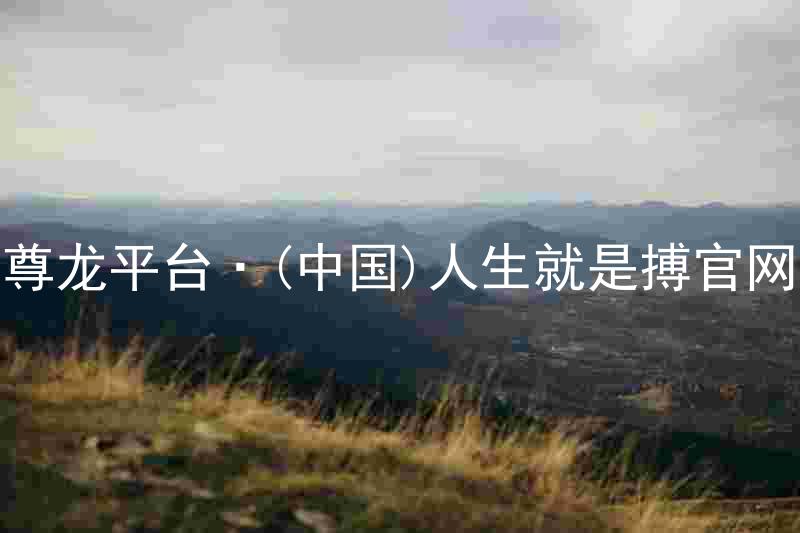 尊龙平台·(中国)人生就是搏官网