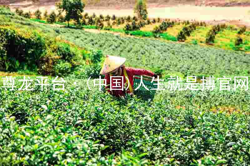 尊龙平台·(中国)人生就是搏官网