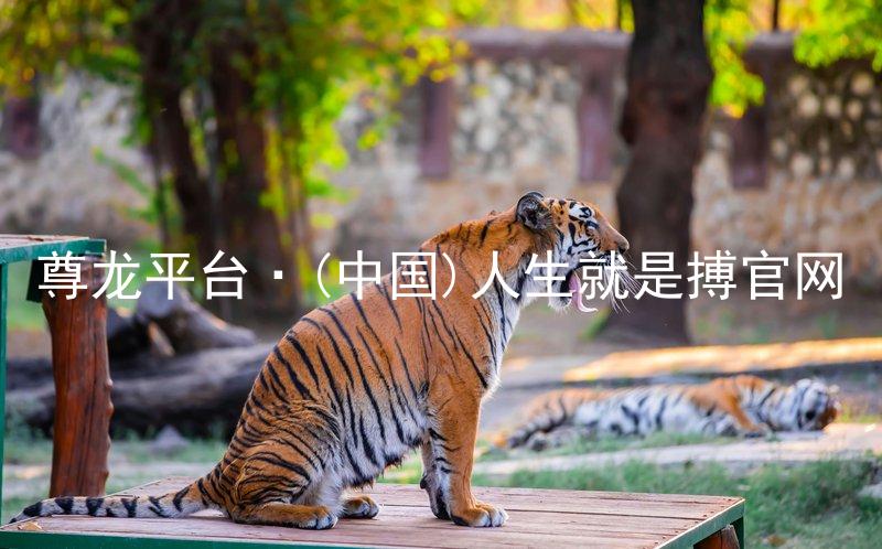尊龙平台·(中国)人生就是搏官网