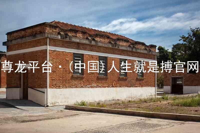 尊龙平台·(中国)人生就是搏官网