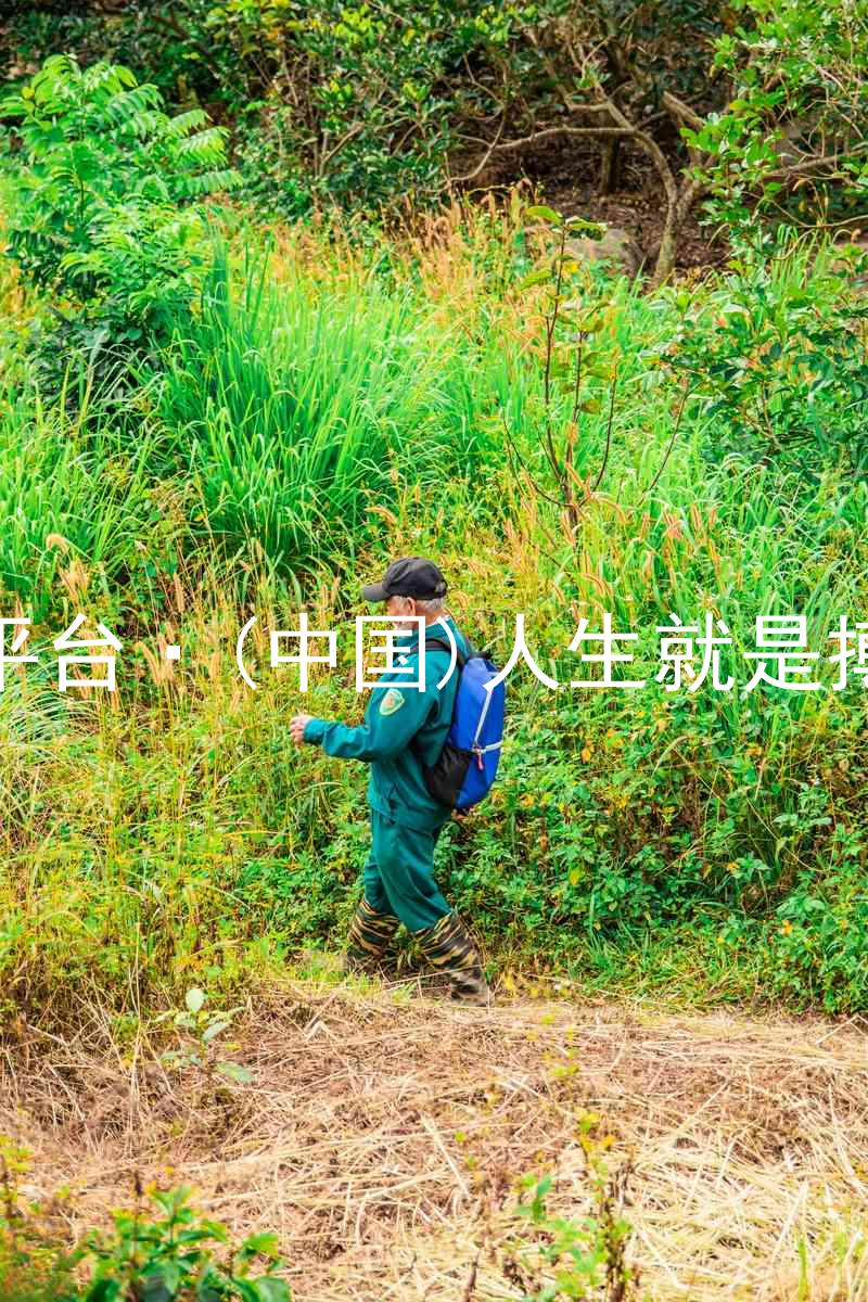 尊龙平台·(中国)人生就是搏官网