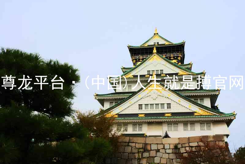 尊龙平台·(中国)人生就是搏官网