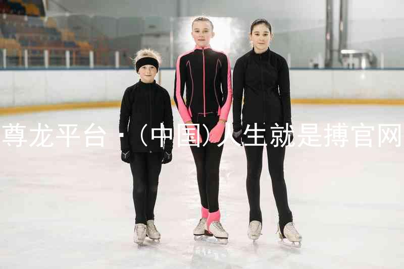 尊龙平台·(中国)人生就是搏官网