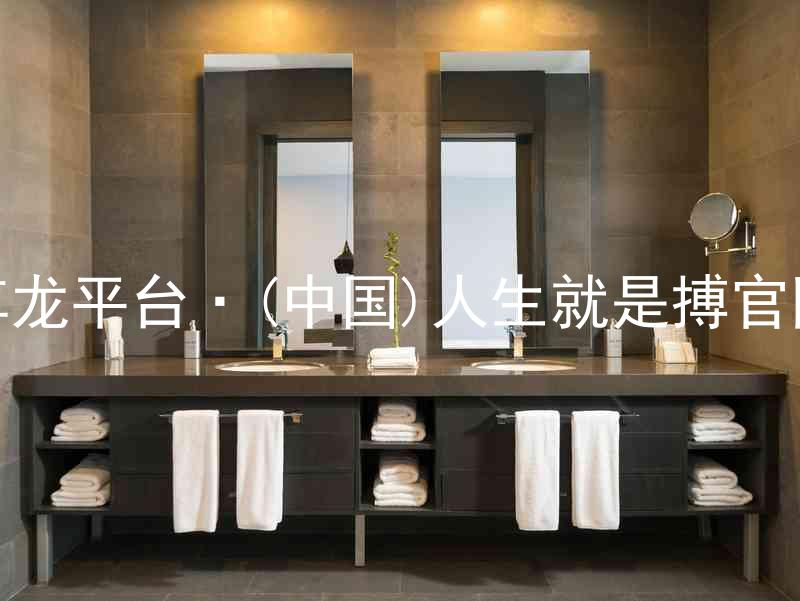 尊龙平台·(中国)人生就是搏官网