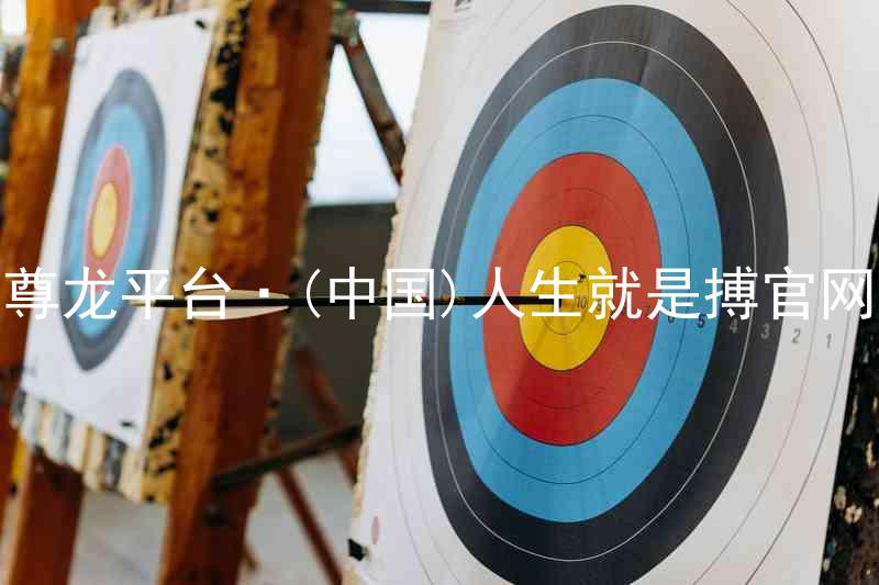 尊龙平台·(中国)人生就是搏官网